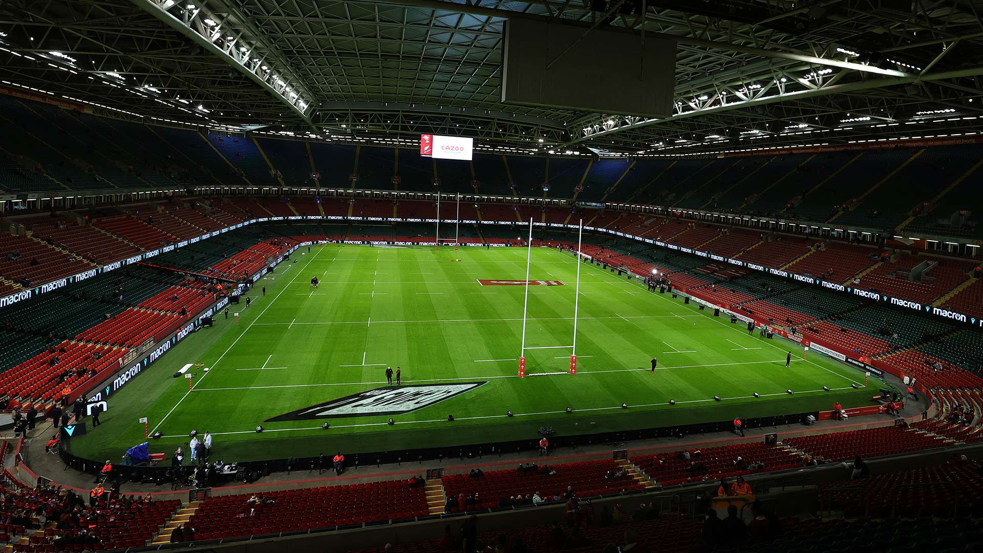 如荼地展开 如荼地展开